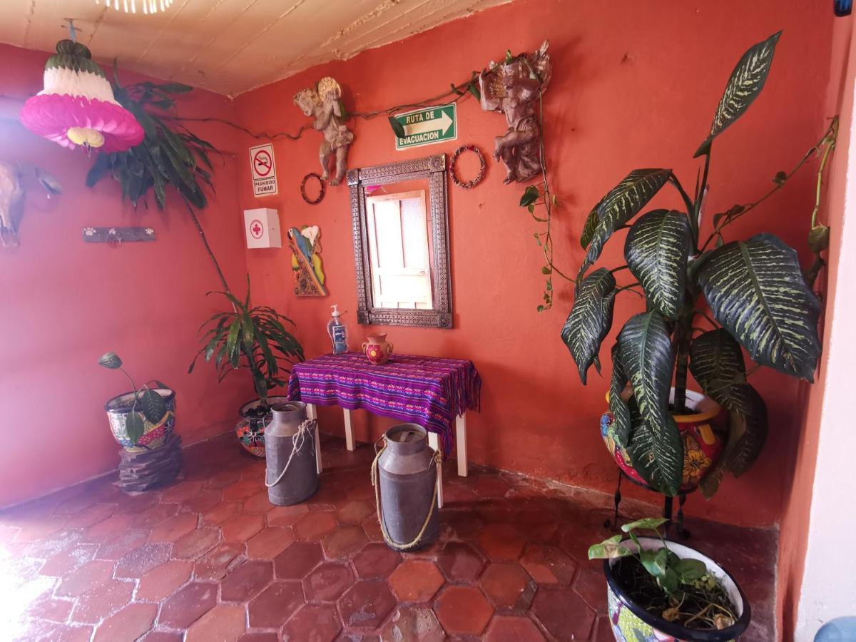 La Casa Del Abuelo Hostel San Miguel de Allende Luaran gambar