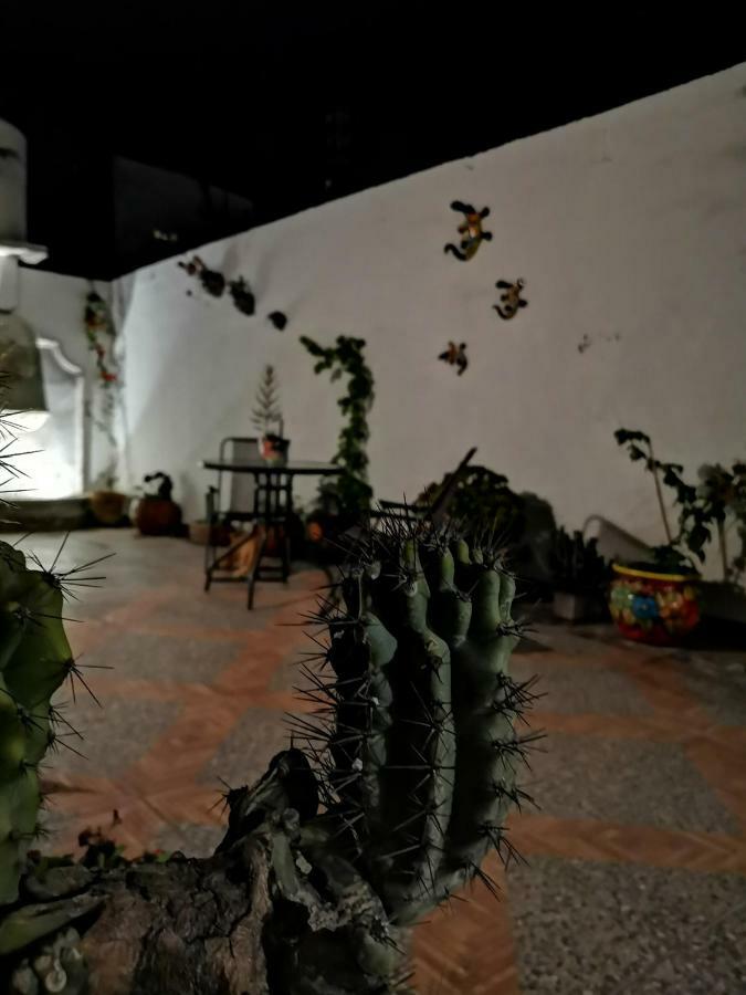 La Casa Del Abuelo Hostel San Miguel de Allende Luaran gambar