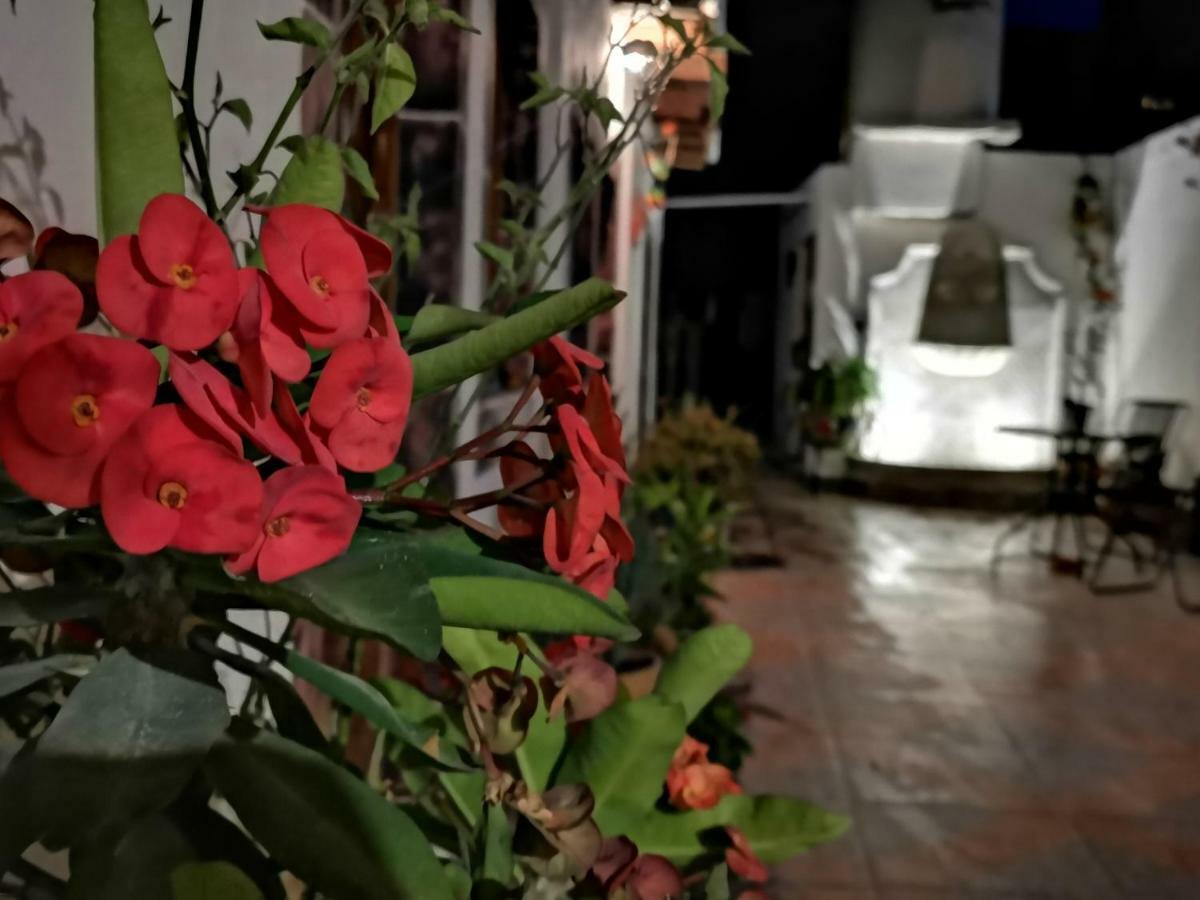 La Casa Del Abuelo Hostel San Miguel de Allende Luaran gambar